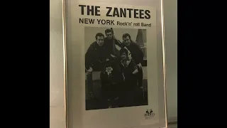 The Zantees ~ Broken Heart