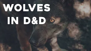 How to Run Wolves and Dire Wolves | Dungeons and Dragons