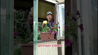 Дачный юмор 🏡🏡🏡#улыбнись ##прикол ##юмор #