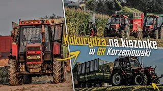 ✔ Kukurydza na Kiszonkę 2020 ✔Z Najlepszą EKIPĄ✔GR Korzeniowski #Opolskie