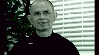 The Power of Healing | Thich Nhat Hanh | 2004-01-14