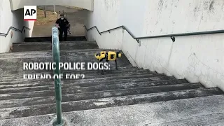 Robotic police dogs: Friend or foe?