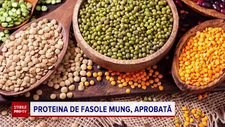 Ce este fasolea mung și cum trebuie consumată. Este o sursă bogată în proteine