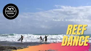 Tide Drop Reef Dance - Paunch, Bocas del Toro