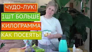 КАК ПРАВИЛЬНО ПОСЕЯТЬ ЛУК НА РАССАДУ! РАССАДА 2021!