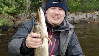 Щука и Красноперка на Балтийском море Выборгский залив, крупная щука, big pike, Baltic sea