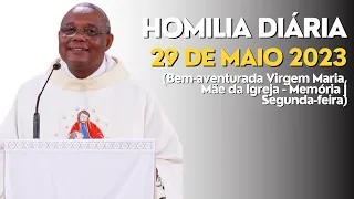 HOMILIA DIÁRIA - 29 DE MAIO 2023 (Bem-aventurada Virgem Maria, Mãe da Igreja - Memória)