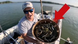 I Caught a Bushel of Crabs [Maryland Crabbing]
