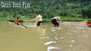 Catching Fish Pond, Fish Braised Lemongrass, Fish Cooked Mangrove #13 