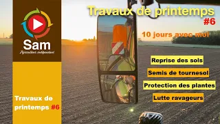 Travaux de printemps #6. La boucle est bouclée. Prépa, semis, météo, oiseaux, désherbage, maladies