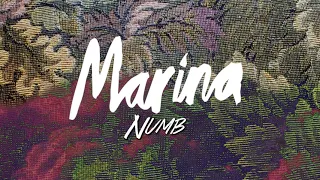 #MARINA - Numb (Backing Vocals/Hidden Vocals)