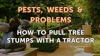 How to Pull Tree Stumps With a Tractor