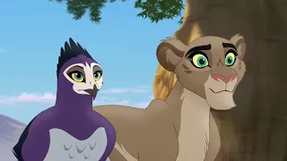 Anga vs Tazama-The Lion Guard:Return to the Pridelands