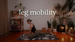 Yoga For Leg Mobility | 25 min Leg Stretch & Release