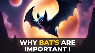 Why Bats Are Important To The Environment | The Planet Voice