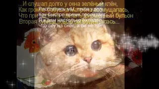 Веселая котомафия #7 Смешные животные