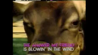 Blowin' In The Wind - Video Karaoke (Pioneer)