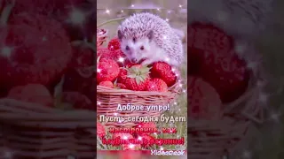 Здравствуйте! Будьте счастливы! Музыкальная открытка.