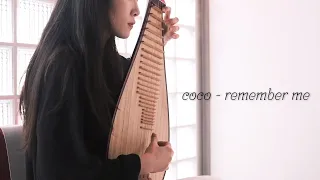 Coco - Remember Me ㅣ비파수진 (pipa cover)