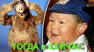 Альф (ALF) . Актёры сериала ТОГДА и СЕЙЧАС