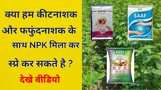 क्या कीटनाशक और फफुंदनाश्क मिलाकर स्प्रे कर सकते है ? Insecticide Fungicide and NPK mix spray ?