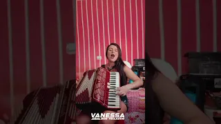 Pi Rô Po Po Po Rô Po - (Fazendo O Som)  (cover) (Vanessa Dos Teclados)