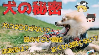【動物】犬のビックリ雑学 9選【ゆっくり解説】