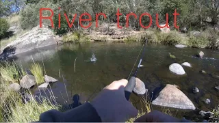 Trout fishing the river!