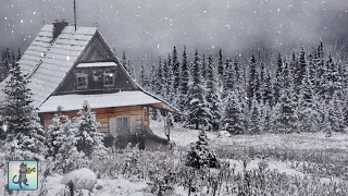 Relaxing Snowfall: Beautiful Falling Snow - The Best Relax Music