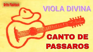 VIOLA DIVINA & CANTO DOS PÁSSAROS COM SONS DA NATUREZA | Belas Melodias