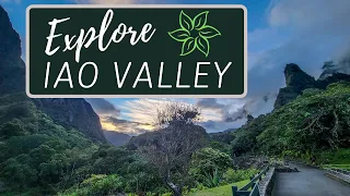 Iao Valley State Park: Best Easy Family Day Hike On Maui - Explore The Lush Iao Valley With Us!
