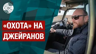 Открытие новых миров: ширванский национальный парк. Часть первая