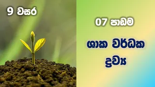 Grade 9 Science in Sinhala | Unit 7 Plant hormones | ශාක වර්ධක ද්‍රව්‍ය