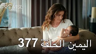 The Promise Episode 377 (Arabic Subtitle) | اليمين الحلقة 377