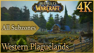 Western Plaguelands - Ambient & Zone Music | WoW - Eastern Kingdoms | 4K 60fps