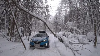 17 часов в лесу, Kaptur, Duster, Chevrolet Niva.