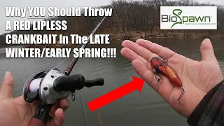 Why YOU Should Throw A RED LIPLESS In The LATE WINTER/EARLY SPRING!!! (Kayak Fishing)