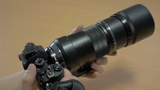 Olympus 300mm f/4 IS PRO Review - Olympus' sharpest lens?