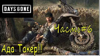 Ада Такер ➣ Days Gone ➣ Прохождение #6