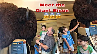 Visit Our Friend Bob The Owner Of Ohio Bison Farm The Highest Quality Bison in Central Ohio