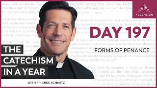 Day 197: Forms of Penance — The Catechism in a Year (with Fr. Mike Schmitz)