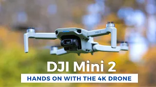 DJI Mini 2 | Hands on with the new 4K drone