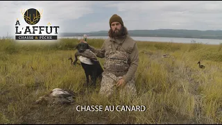 À l'affût: Chasse au canard