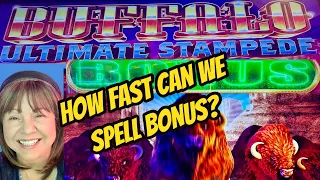 IT'S A STAMPEDE OF BONUSES-BUFFALO ULTIMATE STAMPEDE