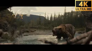 Predator vs Bear (Prey 2022)