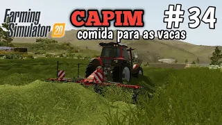 FARMING SIMULATOR 20 GAMEPLAY comida para as vacas CAPIM