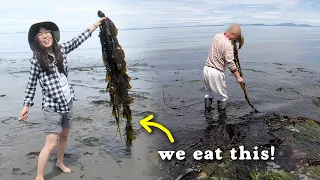 COASTAL FORAGING 🦀 Butter Clams, Mussels, Seaweed, Crabs! CATCH & COOK Kelp Soup & Chowder