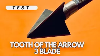 TOOTH OF THE ARROW 3 BLADE: BROADHEAD TEST