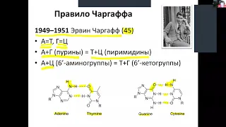 Лекция 6. Ctrl+C, Ctrl+V для ДНК: полимеразная цепная реакция