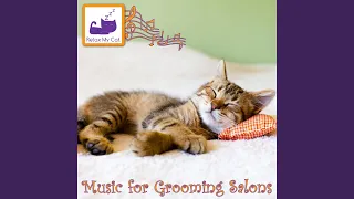 Cat Grooming Music